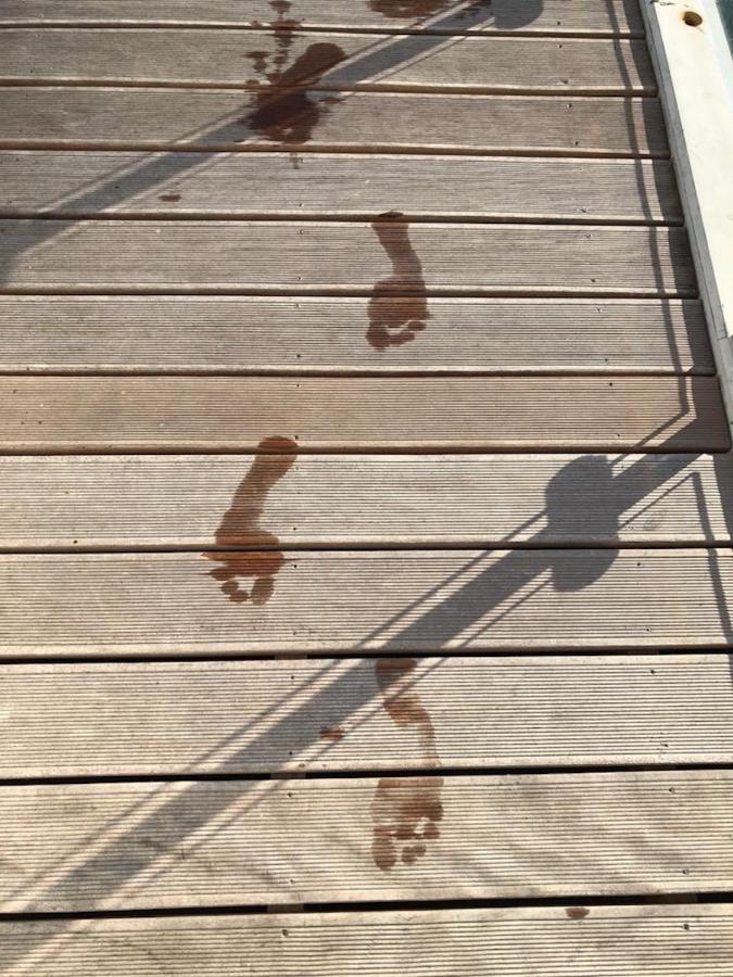 Willa Hausboot Elandi Bitterfeld-Wolfen Zewnętrze zdjęcie